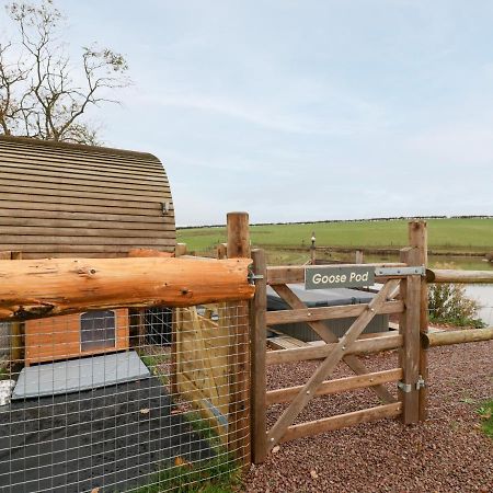 Goose Pod Villa Устър Екстериор снимка