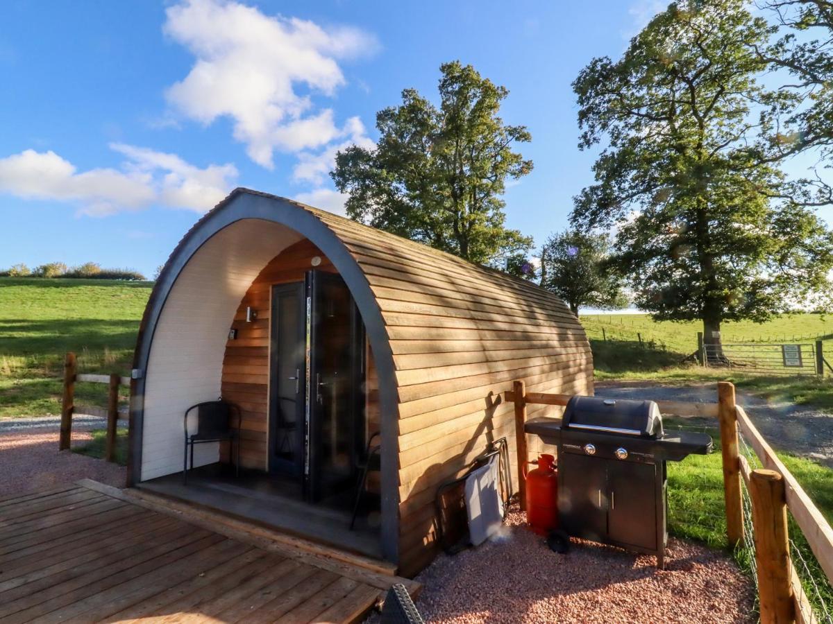 Goose Pod Villa Устър Екстериор снимка