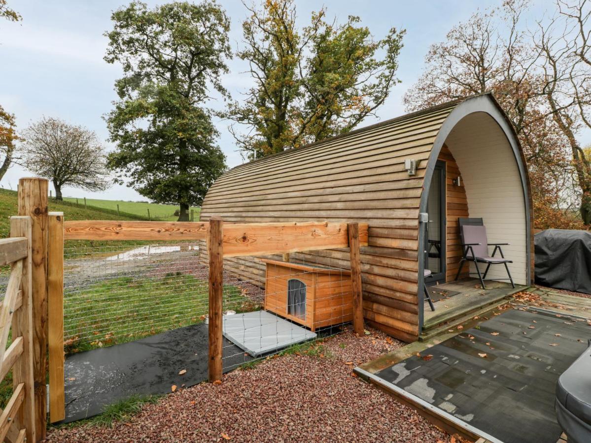 Goose Pod Villa Устър Екстериор снимка